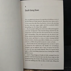 Death Going Down - María Angélica Bosco รูปที่ 7