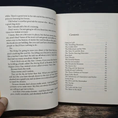 Grimms' Fairy Tales - Matt Haig รูปที่ 7