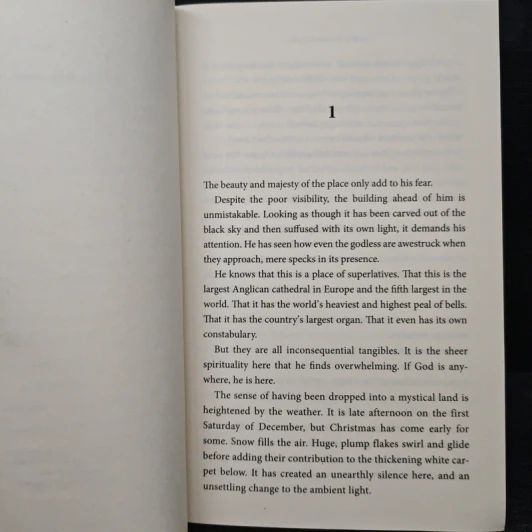 Hope to Die - David Jackson รูปที่ 7