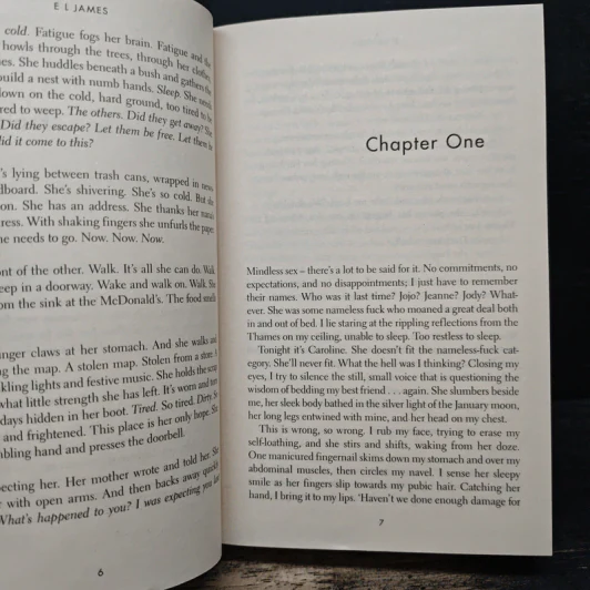 The Mister - E L James รูปที่ 7
