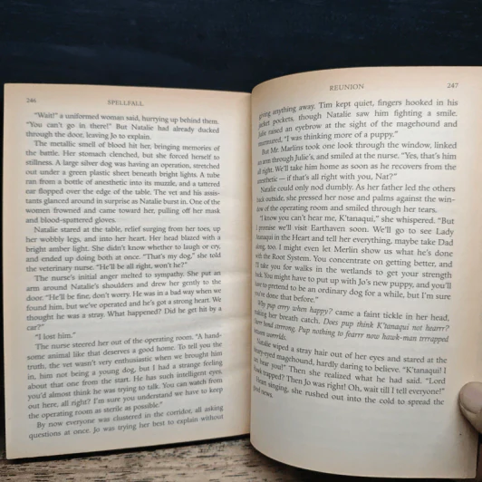Spellfall - Katherine Roberts รูปที่ 8