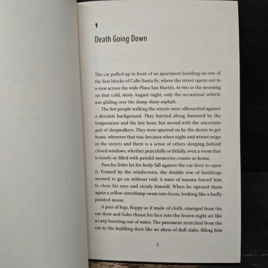 Death Going Down - María Angélica Bosco รูปที่ 7