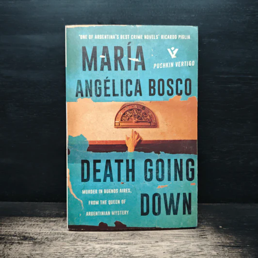Death Going Down - María Angélica Bosco รูปที่ 1