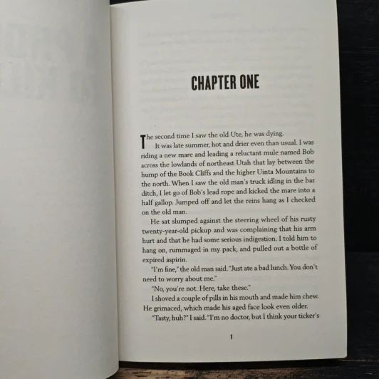 A Promise to Kill - Erik Storey รูปที่ 7