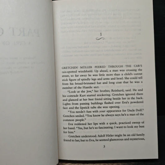 Prisoner of Night and Fog - Anne Blankman รูปที่ 7