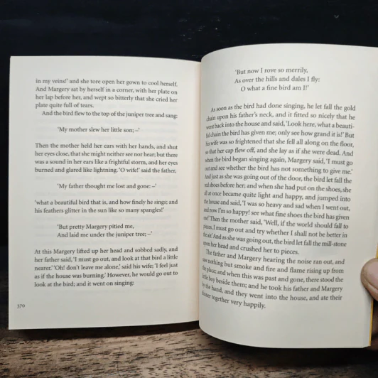 Grimms' Fairy Tales - Matt Haig รูปที่ 10