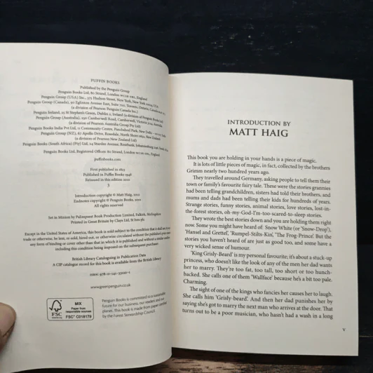 Grimms' Fairy Tales - Matt Haig รูปที่ 6