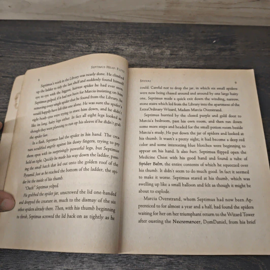 Flyte Septimus Heap - Angie Sage รูปที่ 7