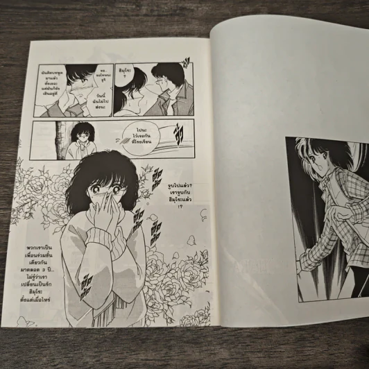 ตะวันรักที่ปลายฟ้า เล่ม 1 รูปที่ 6
