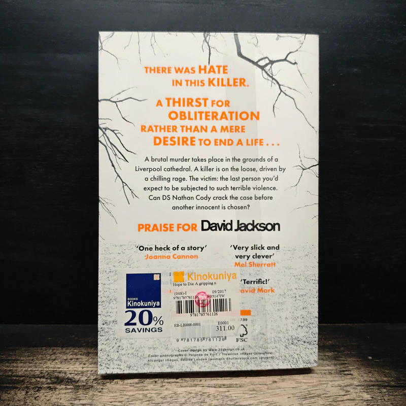 Hope to Die - David Jackson รูปที่ 2