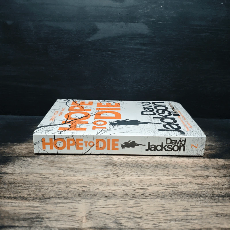 Hope to Die - David Jackson รูปที่ 3