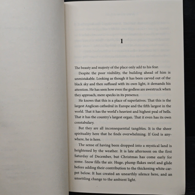 Hope to Die - David Jackson รูปที่ 7