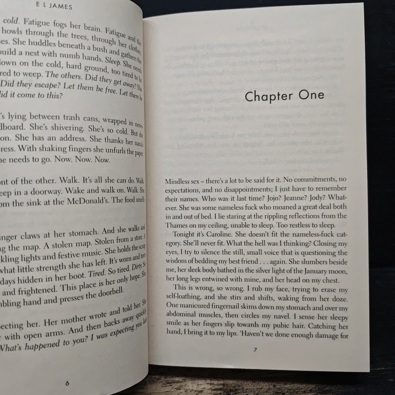 The Mister - E L James รูปที่ 7