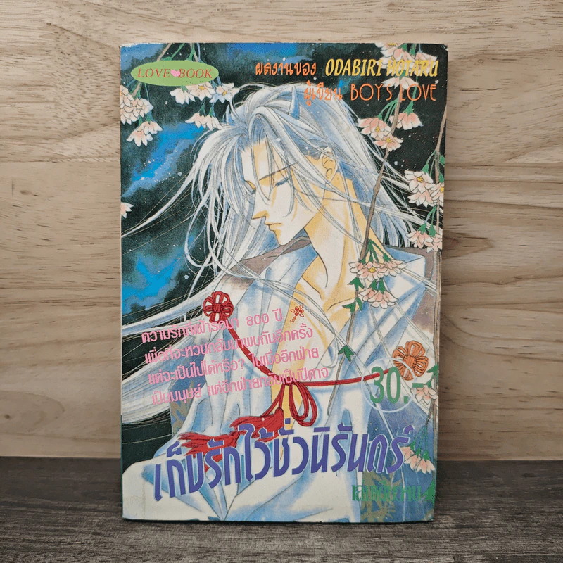เก็บรักไว้ชั่วนิรันดร์ - Odagiri Hotaru รูปที่ 1