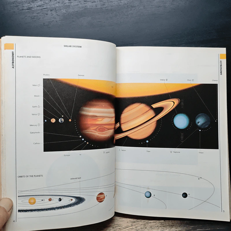 The Macmillan Visual Dictionary รูปที่ 15