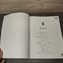 The Sorcerer's Companion รูปที่ 7