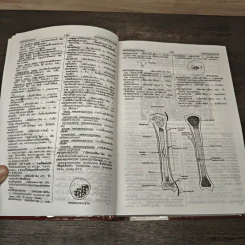 พจนานุกรมแพทยศาสตร์ Medical Dictionary เล่ม 1-2 - วิทย์ เที่ยงบูรณธรรม, เกษม เที่ยงบูรณธรรม รูปที่ 6