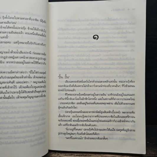 รักเพียงฝัน - คีตฌาณ์ รูปที่ 8