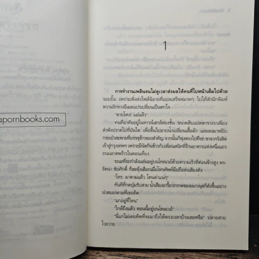 นิยายรักสองเรา - พิมพ์พลอย รูปที่ 8