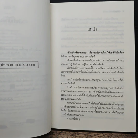 เล่ห์ภุมริน - ปักสรา รูปที่ 8