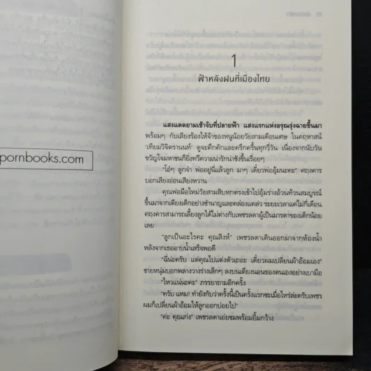 เพียงขอบฟ้า - อุษากนิษฐ์ รูปที่ 8
