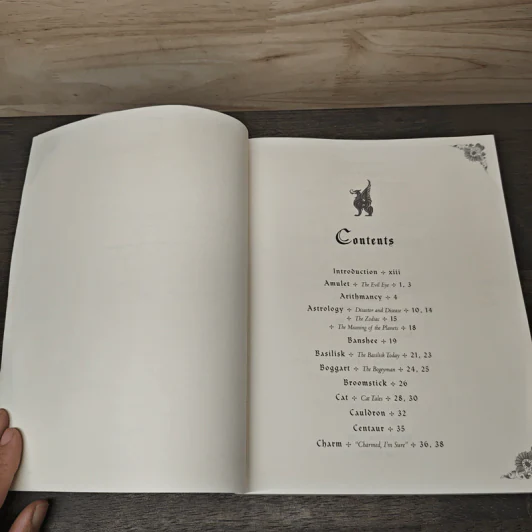 The Sorcerer's Companion รูปที่ 7