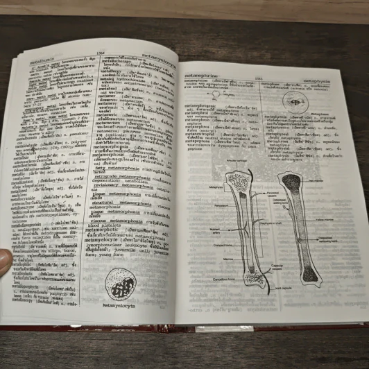 พจนานุกรมแพทยศาสตร์ Medical Dictionary เล่ม 1-2 - วิทย์ เที่ยงบูรณธรรม, เกษม เที่ยงบูรณธรรม รูปที่ 6