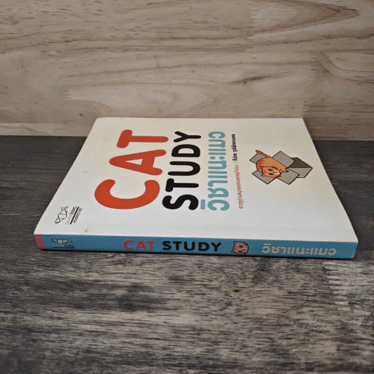 Cat Study วิชาแนะแมว - ทีปกร วุฒิพิทยามงคล รูปที่ 2