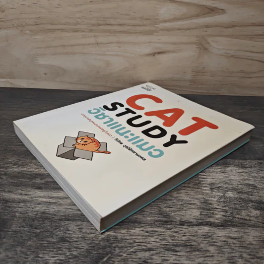Cat Study วิชาแนะแมว - ทีปกร วุฒิพิทยามงคล รูปที่ 3