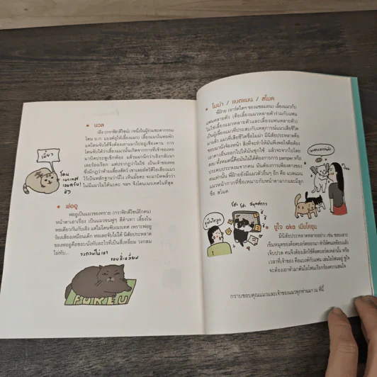 Cat Study วิชาแนะแมว - ทีปกร วุฒิพิทยามงคล รูปที่ 8