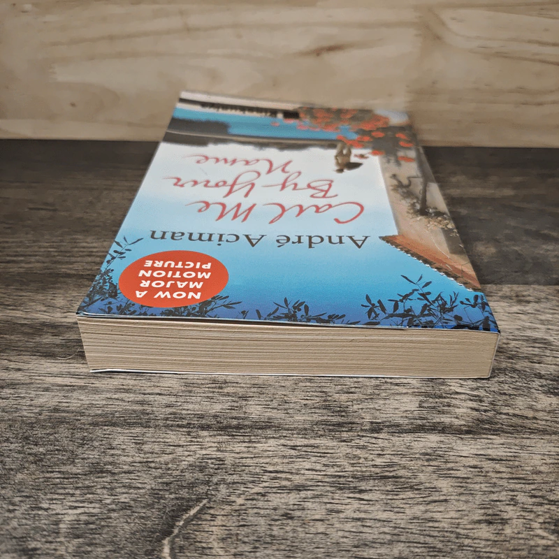 Call Me by Your Name - Andre Aciman รูปที่ 4
