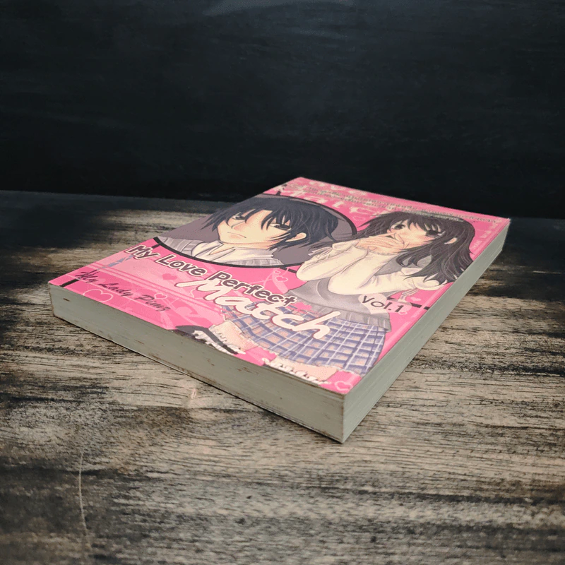 My Love Perfect Match Vol.1 - My Lady Ping รูปที่ 4