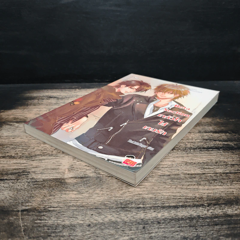 Beta Section เทหัวใจใส่เกมรัก - TheLittleFinger รูปที่ 4