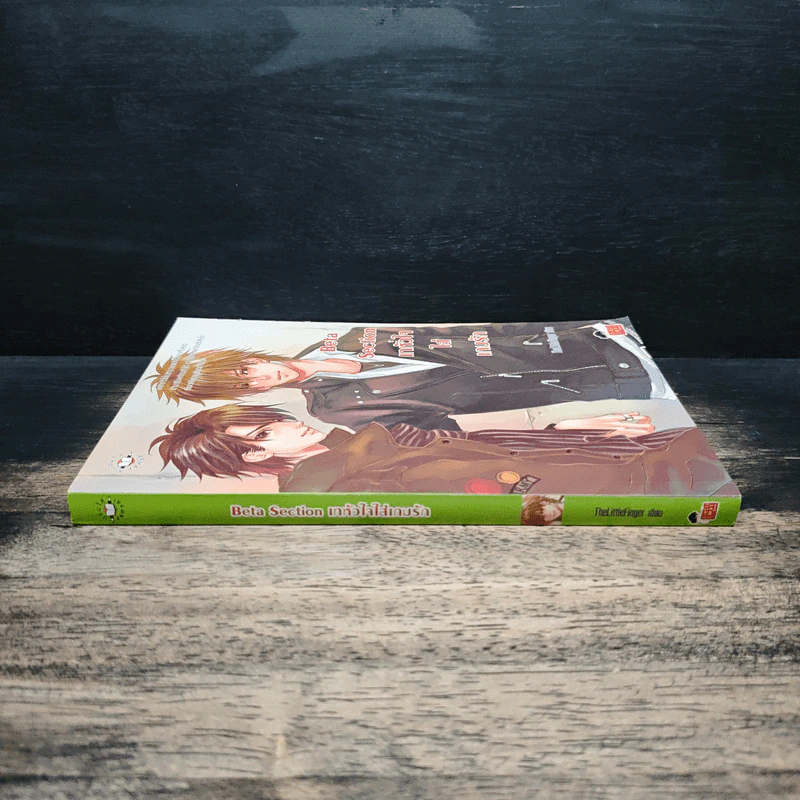 Beta Section เทหัวใจใส่เกมรัก - TheLittleFinger รูปที่ 3