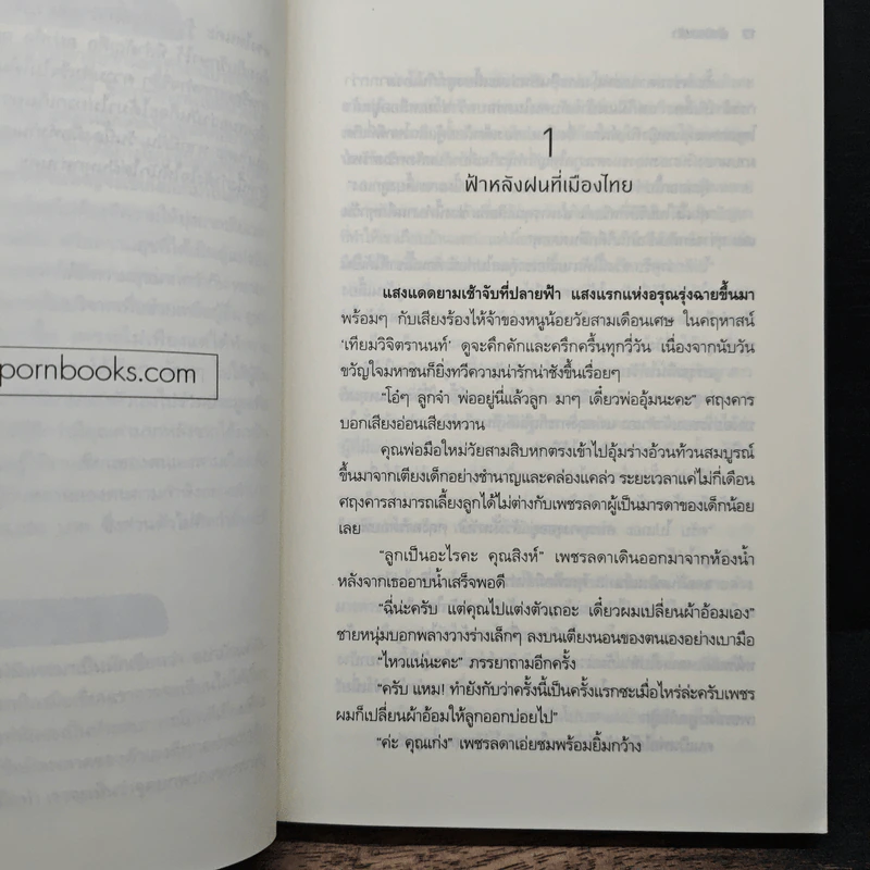 เพียงขอบฟ้า - อุษากนิษฐ์ รูปที่ 8
