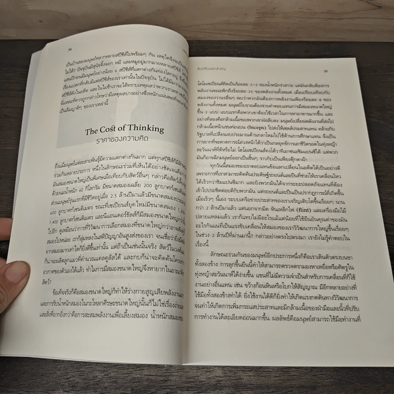 เซเปียนส์ ประวัติย่อมนุษยชาติ Sapiens A Brief History of Humankind รูปที่ 8