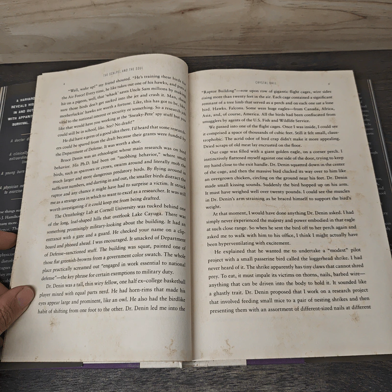 The Scalpel and the Soul - Allan J. Hamilton รูปที่ 8