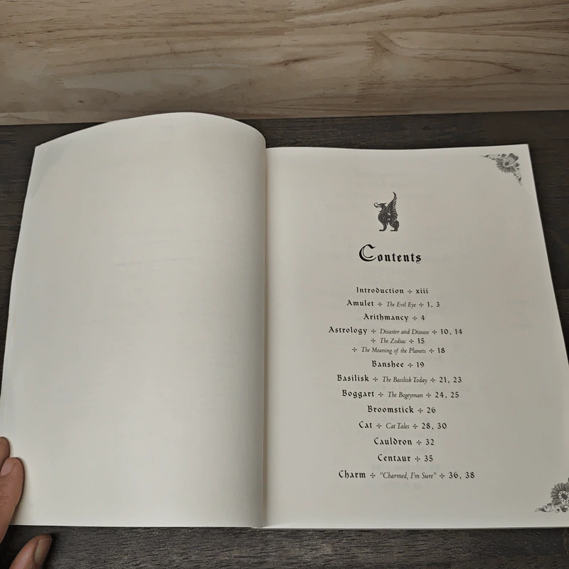 The Sorcerer's Companion รูปที่ 7