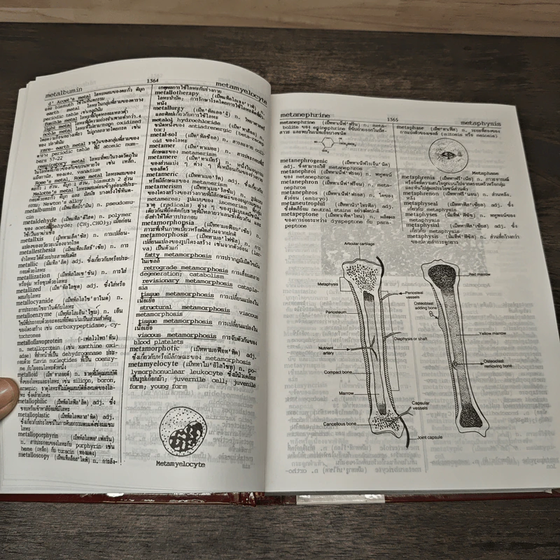 พจนานุกรมแพทยศาสตร์ Medical Dictionary เล่ม 1-2 - วิทย์ เที่ยงบูรณธรรม, เกษม เที่ยงบูรณธรรม รูปที่ 6