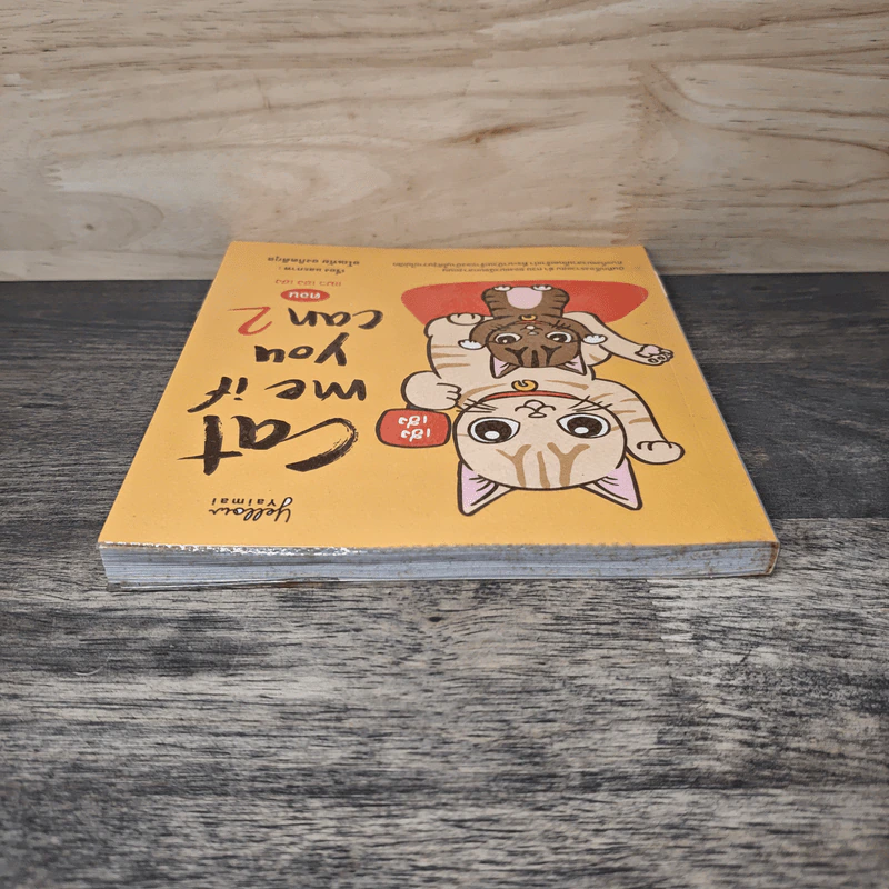 Cat me if you can No.2 ตอน แมวเฮงเฮง - อโณทัย องกิตติกุล รูปที่ 4