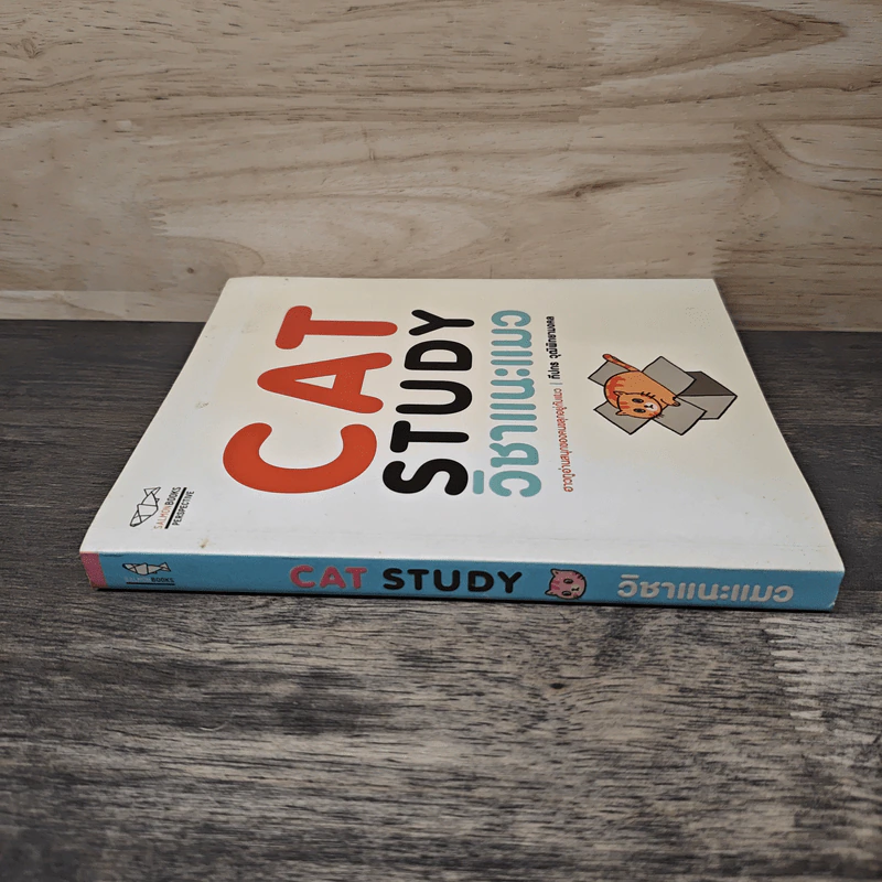 Cat Study วิชาแนะแมว - ทีปกร วุฒิพิทยามงคล รูปที่ 2