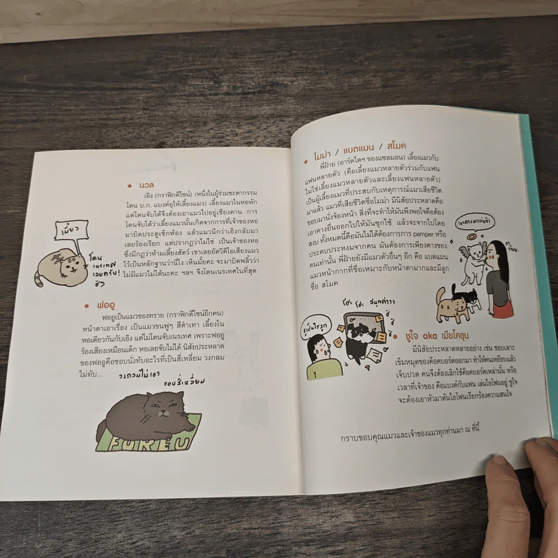 Cat Study วิชาแนะแมว - ทีปกร วุฒิพิทยามงคล รูปที่ 8