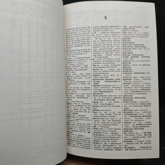 Duden Vol.6 Die Rechtschreibung รูปที่ 8