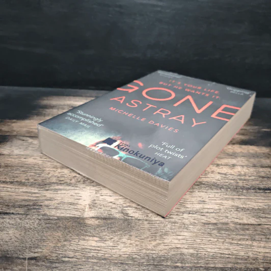Gone Astray - Michelle Davies รูปที่ 4