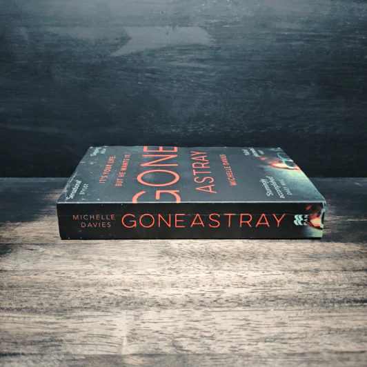 Gone Astray - Michelle Davies รูปที่ 3