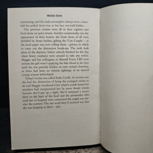 Gone Astray - Michelle Davies รูปที่ 8
