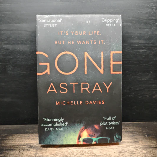 Gone Astray - Michelle Davies รูปที่ 1