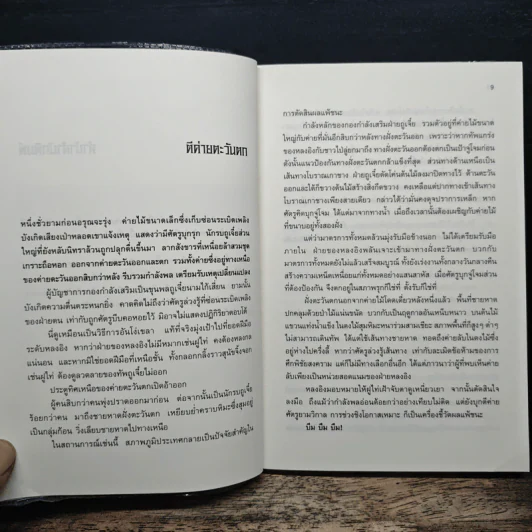 เหยี่ยวมารสะท้านสิบทิศ เล่ม 3 รูปที่ 7