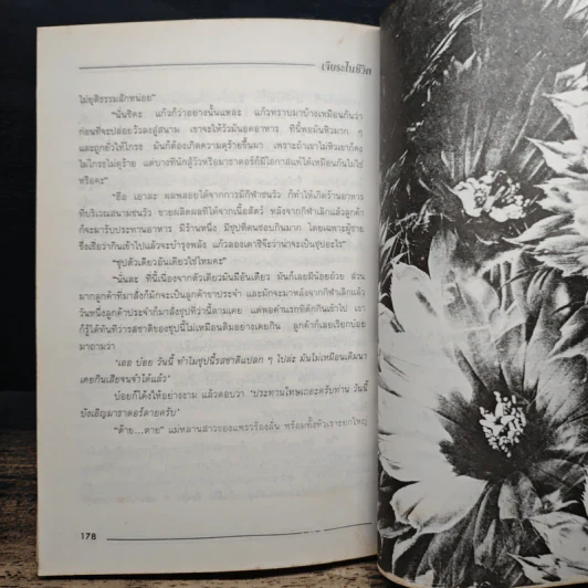 ไปให้ถึง ดวงดาว ภาค 2 ฉบับเจียระไนชีวิต - ดร. พรรณราย ทรัพยะประภา รูปที่ 9