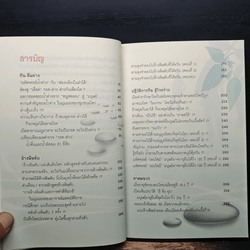 กิน-ดื่มด่างล้างพิษตับ - ปานเทพ พัวพงษ์พันธ์ รูปที่ 7